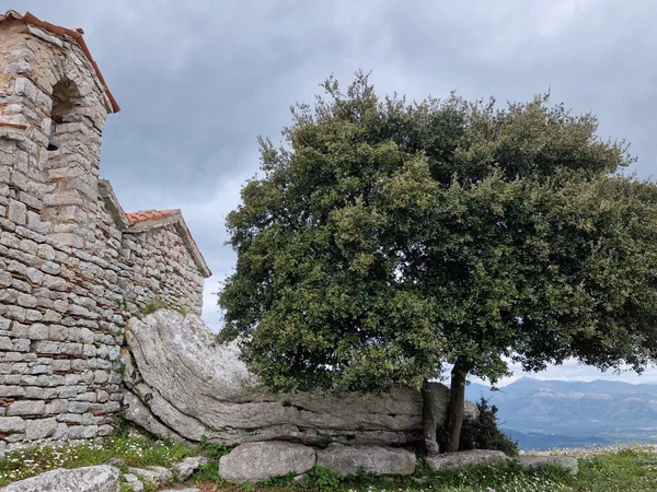 Stone chapel with a bell gable beside a holm oak, mountains behind