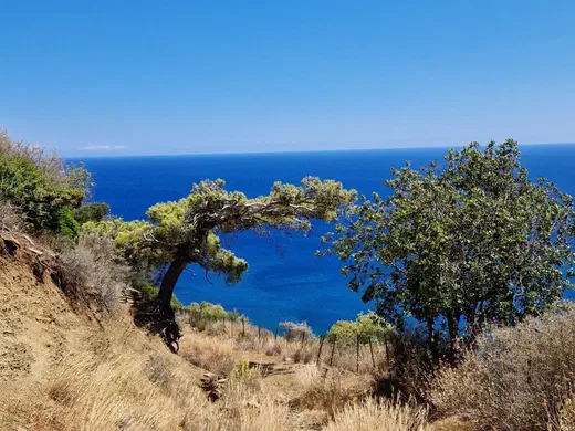 Blick aufs Meer Selitsa Strand