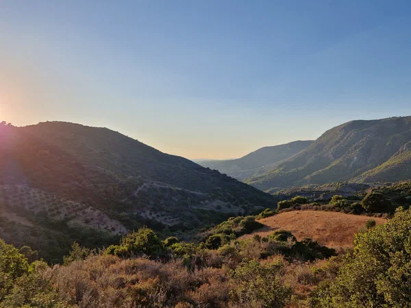 Sunset above wooded hills and olive groves