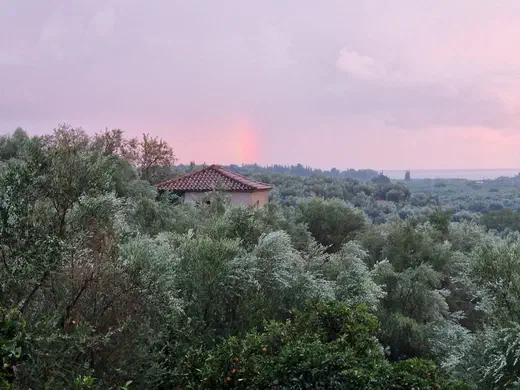 Steinhaus zwischen Olivenbäumen vor rosafarbenem Abendhimmel, am Horizont das Meer
