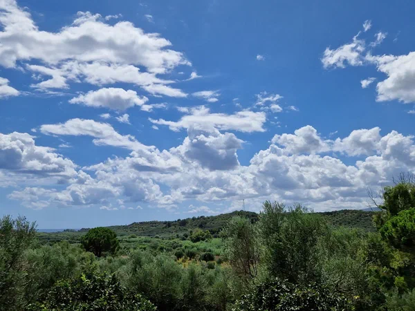 White clouds above the olive groves