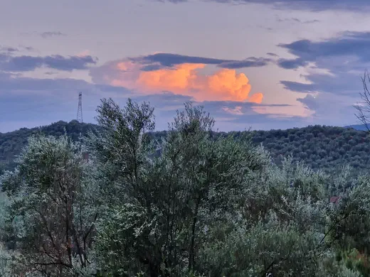 Abendhimmel mit orange leuchtenden Wolken über den Olivenhainen