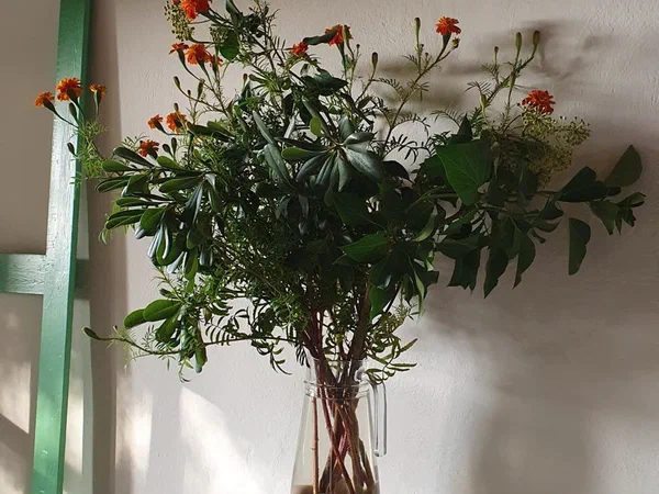Marigolds and branches in a glass jug on a white wall bench