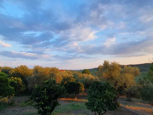 Weitblick vom Healing Hill Richtung Meer