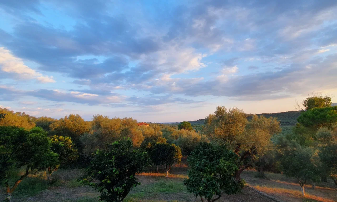 Wide view from Healing Hill towards the sea