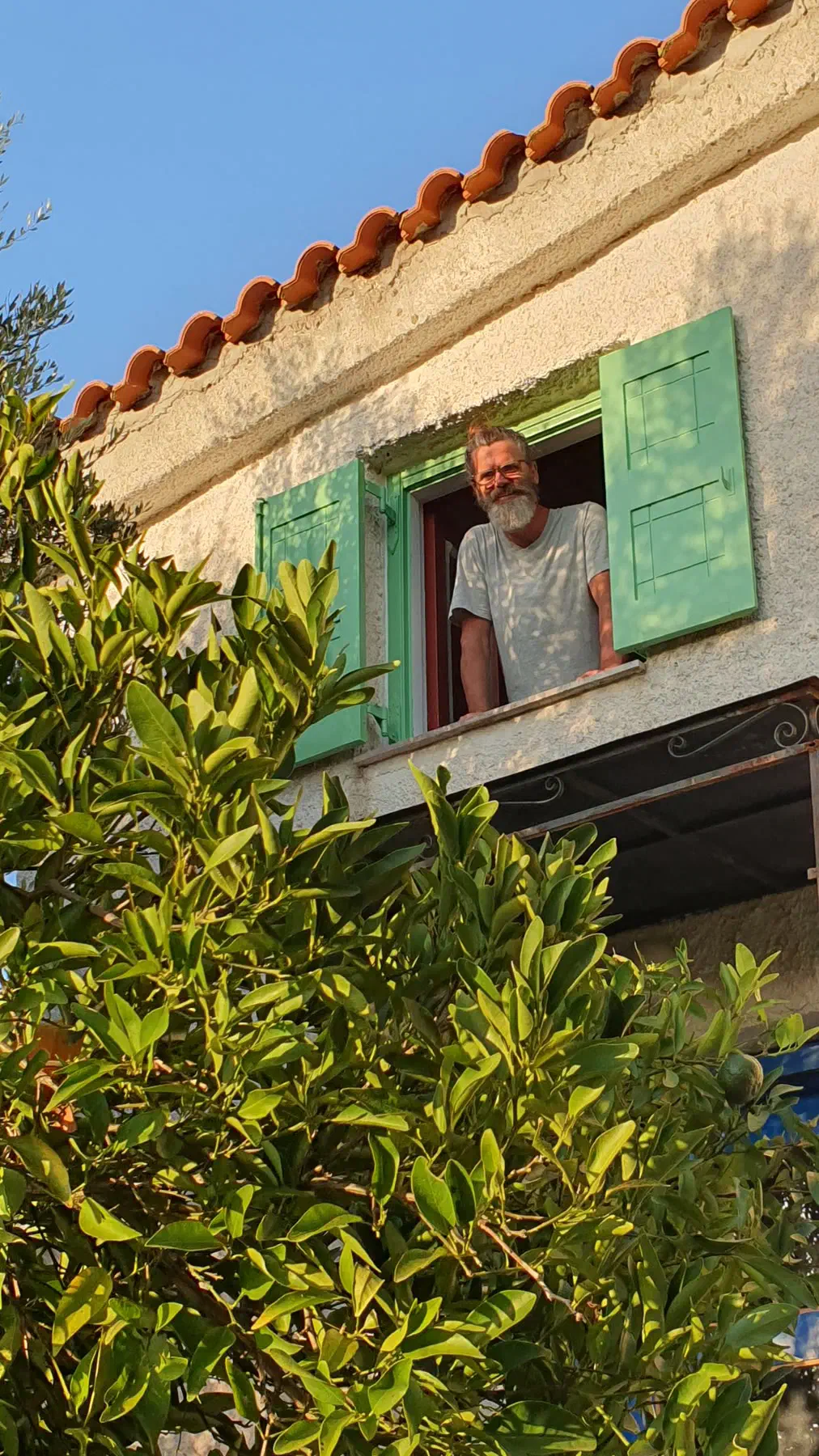 Clemens schaut aus einem Fenster mit grünen Fensterläden, davor ein Zitrusbaum