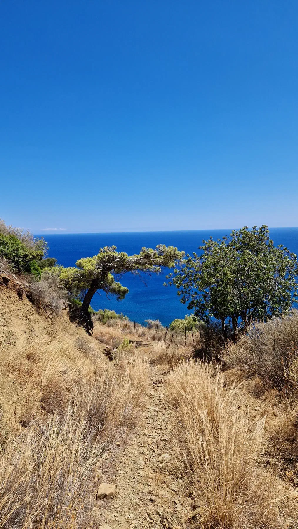 Blick aufs Meer Selitsa Strand