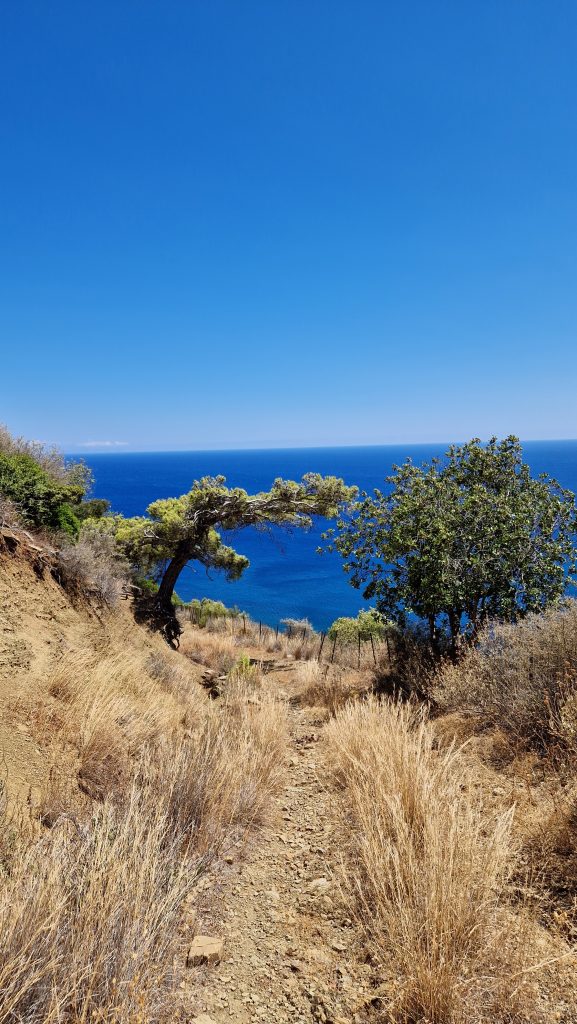 Blick aufs Meer Selitsa Strand